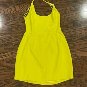 Revolve Sharlene Mini Dress